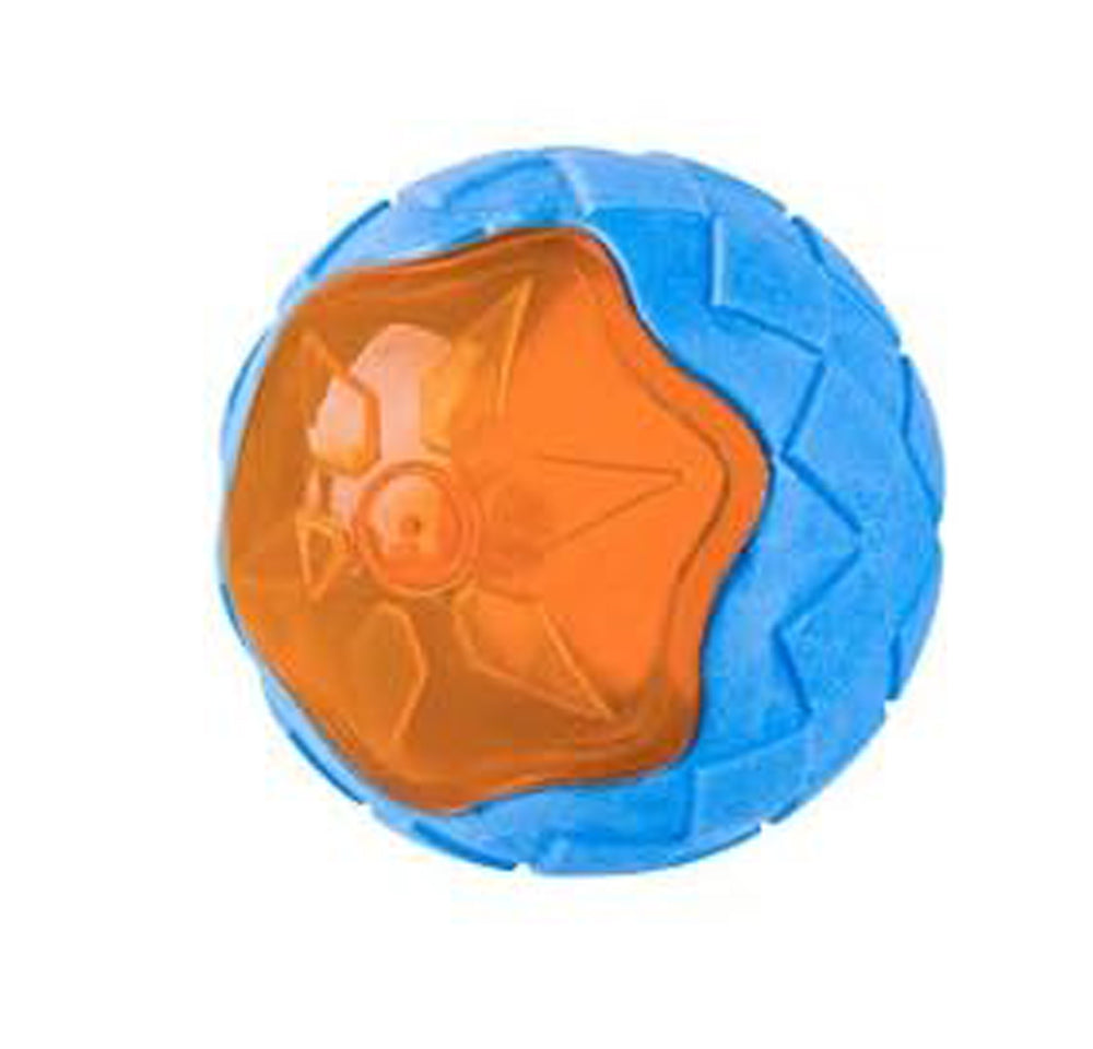 Dog Squeaky Toys - Floating Beach Toy