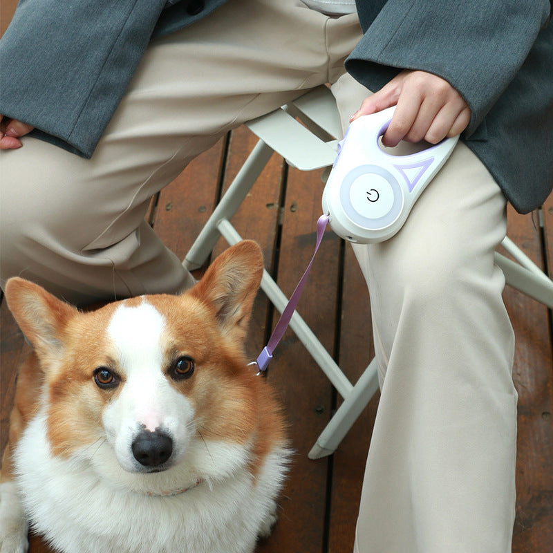 Dog Leash Retractable Leash And Dog Collar Spotlight Automatic Pet Dog Cat Traction Rope