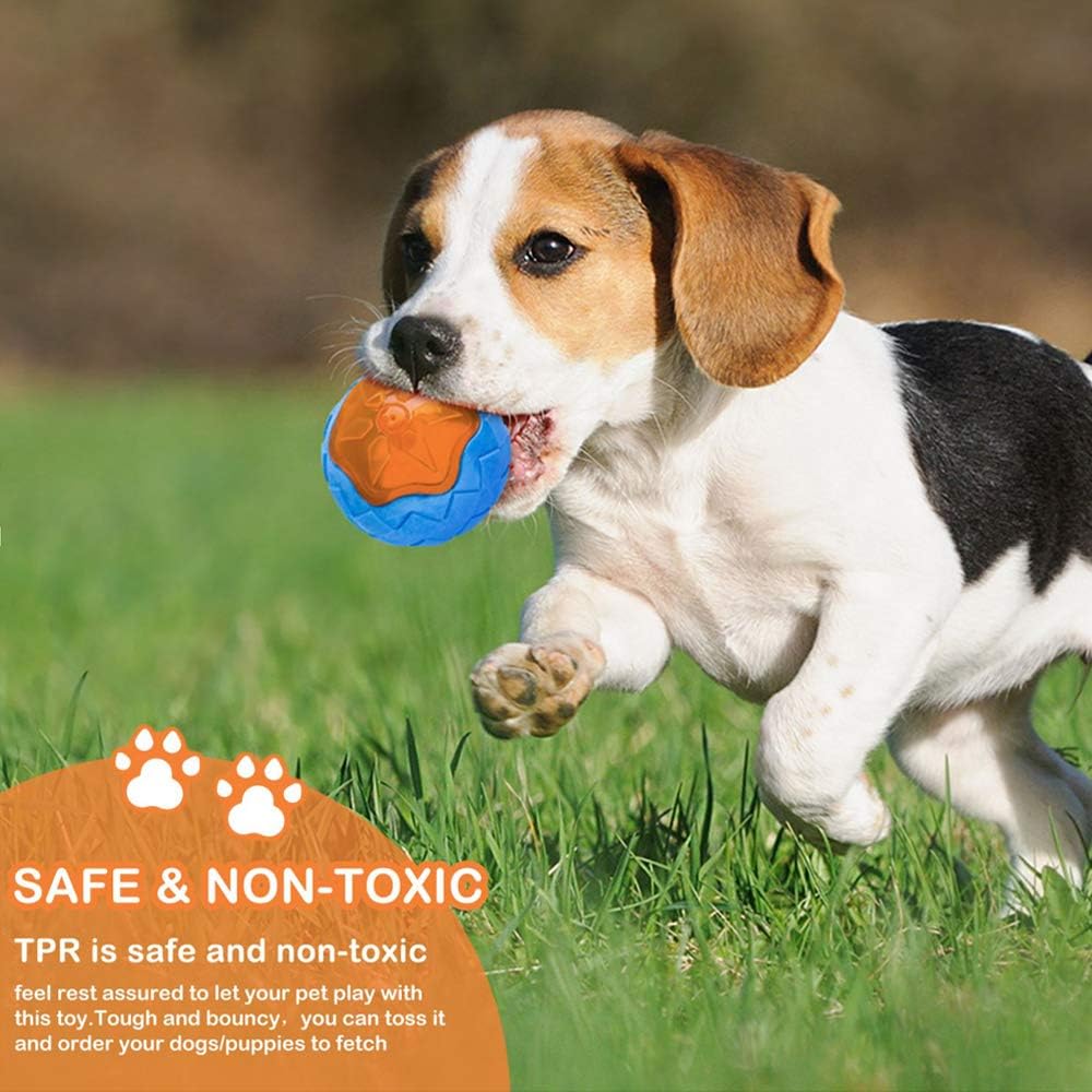 Dog Squeaky Toys - Floating Beach Toy