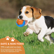 Dog Squeaky Toys - Floating Beach Toy