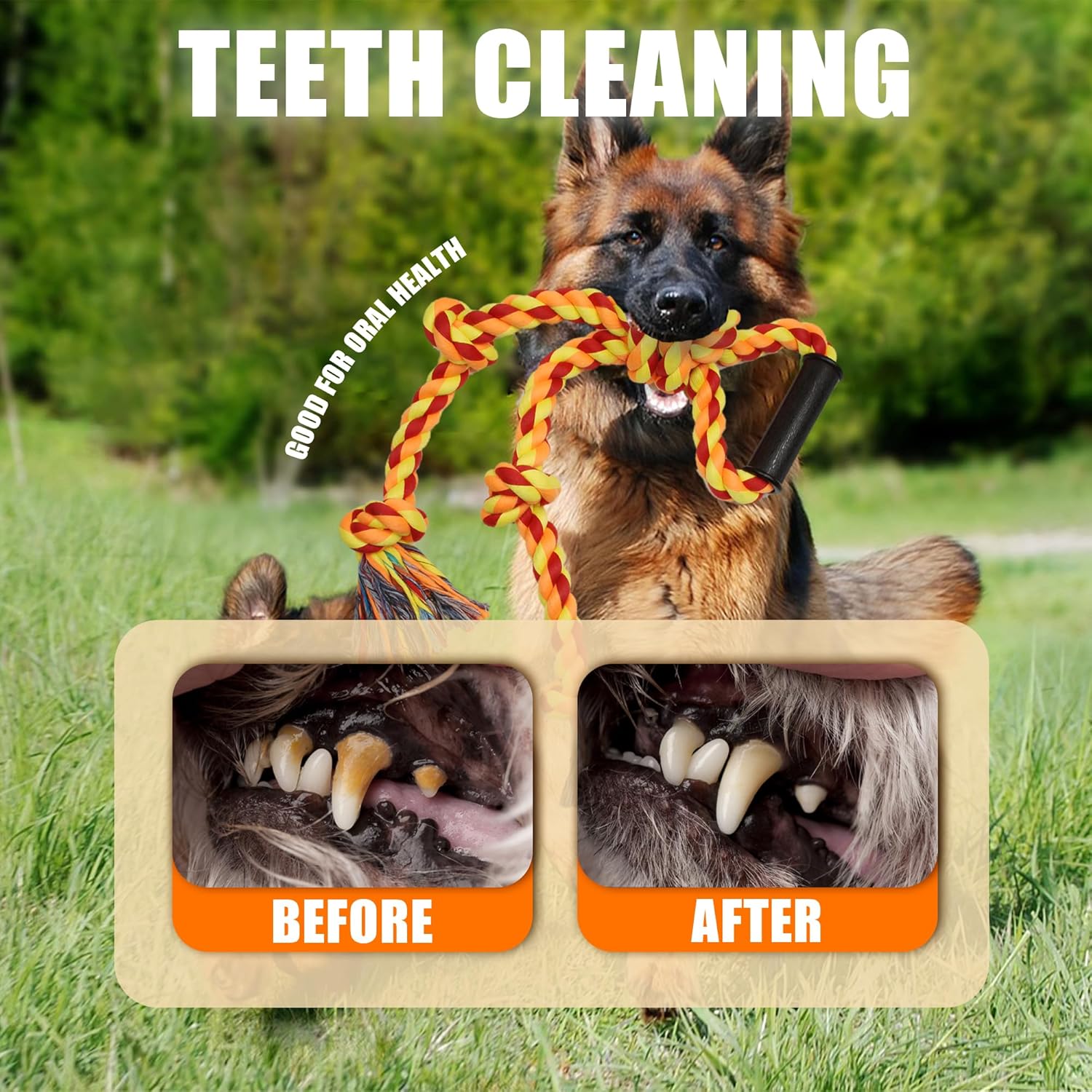 Dog Rope Toys For Aggressive Chewers