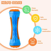Dog Squeaky Toys - Floating Beach Toy